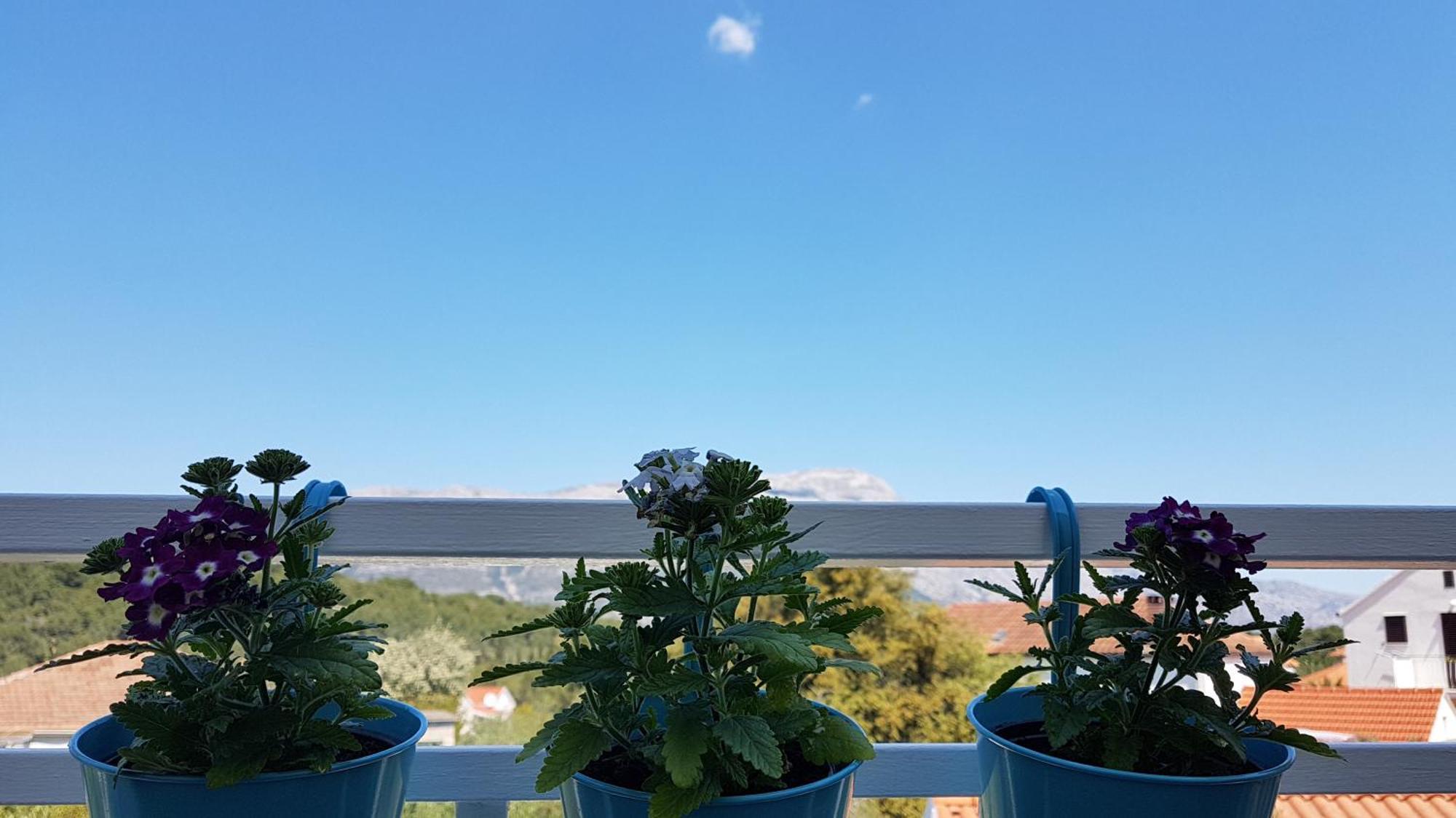 Apartman Lucija Κόρτσουλα Εξωτερικό φωτογραφία
