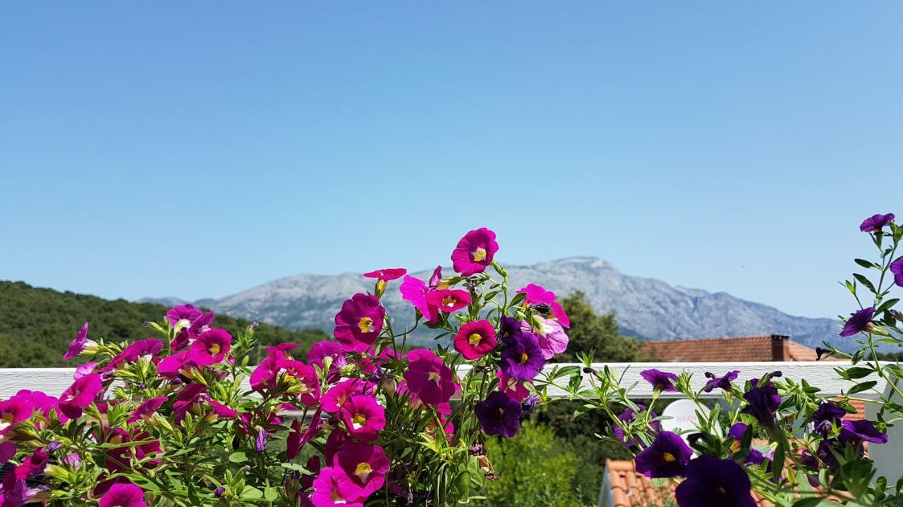 Apartman Lucija Κόρτσουλα Εξωτερικό φωτογραφία